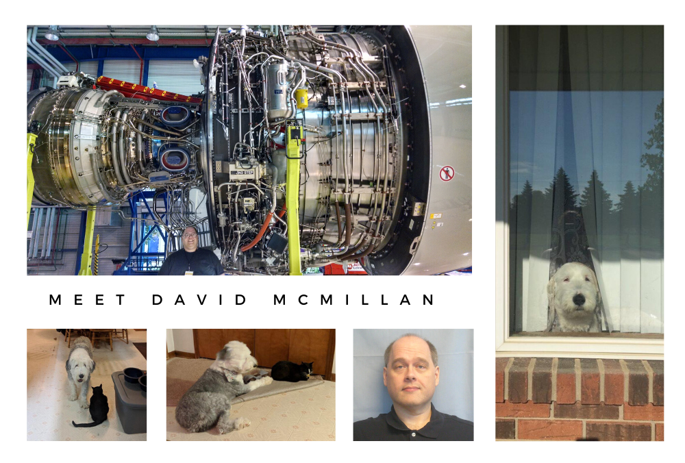 Meet Dave McMillan article collages