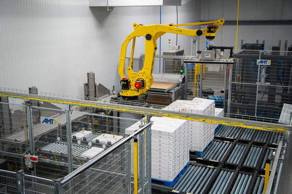 10 Tips for the Optimal Palletizing/Depalletizing Solution